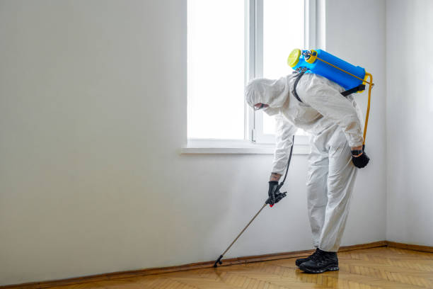 Best Wasp Removal Services  in Baraboo, WI