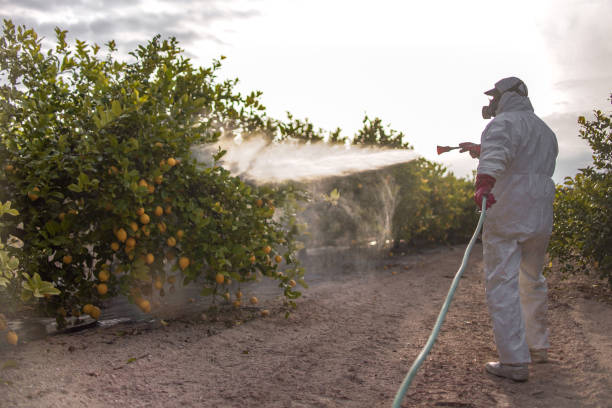 Best Flea Control Services  in Baraboo, WI