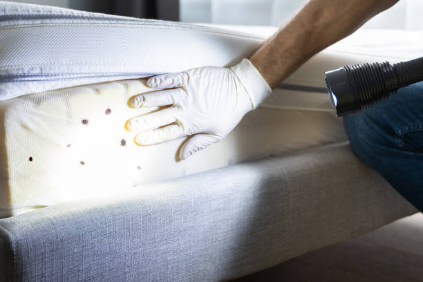 Best Affordable Pest Control Services  in Baraboo, WI