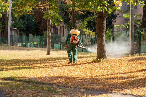 Best Pest Control Near Me  in Baraboo, WI