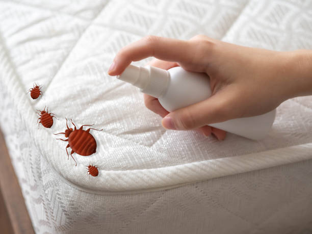 Best Affordable Pest Control Services  in Baraboo, WI