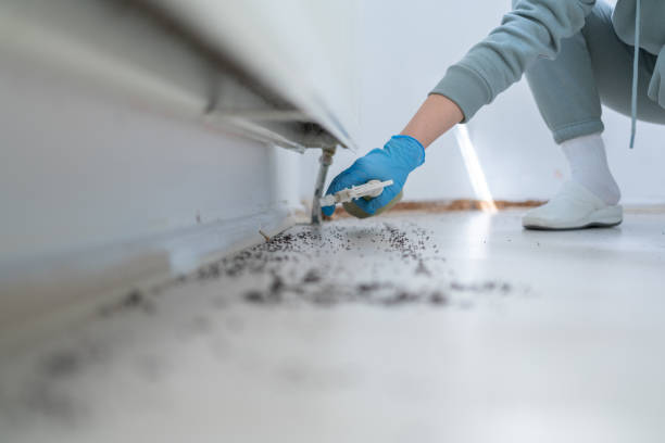 Best Mosquito Control Services  in Baraboo, WI