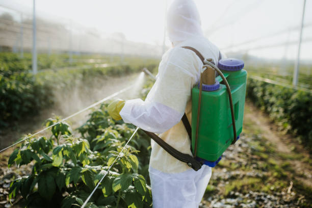 Best Best Pest Control Companies  in Baraboo, WI